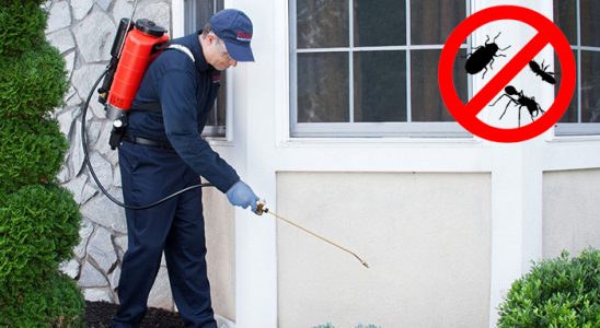 Gümüşova Hamam Böceği İlaçlama böcek ilaçlama ve haşere kontrolü — ilaclama-tr.com